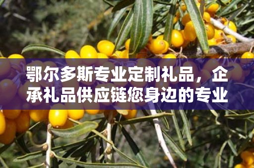 鄂尔多斯专业定制礼品，企承礼品供应链您身边的专业礼品定制公司