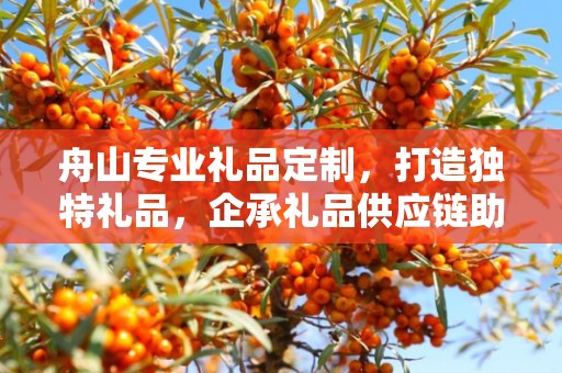 舟山专业礼品定制，打造独特礼品，企承礼品供应链助力商务发展
