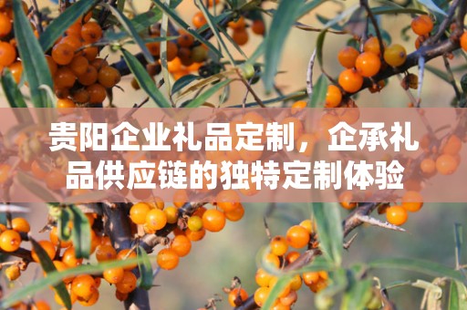 贵阳企业礼品定制，企承礼品供应链的独特定制体验